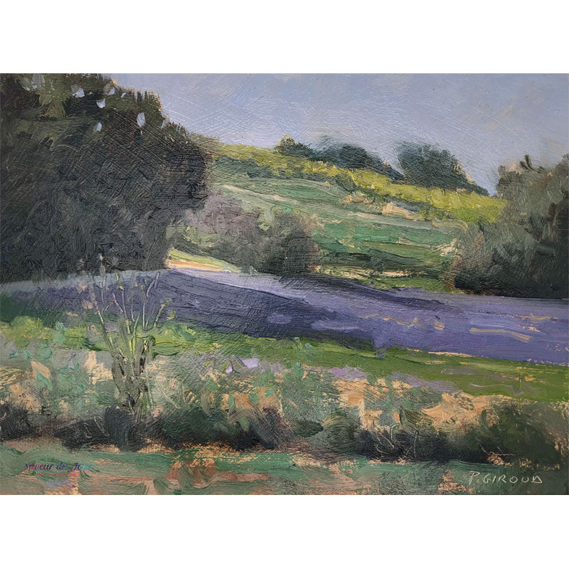Provence Oil Painting - Prés vers Grignan